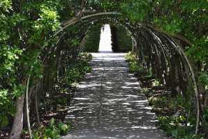 carrick hill 2014 (108)